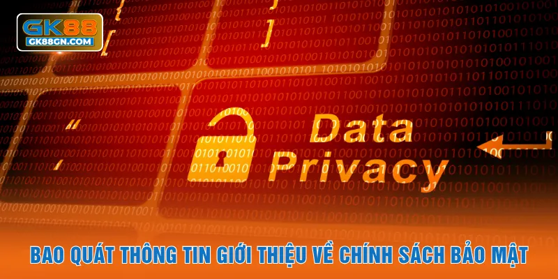 Bao quát thông tin giới thiệu về chính sách bảo mật