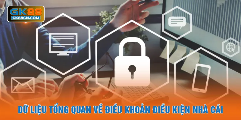 Dữ liệu tổng quan về điều khoản điều kiện nhà cái